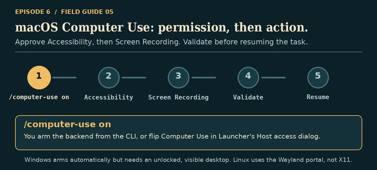 Animated: the staged Computer Use flow from /computer-use on through Accessibility, Screen Recording, validation and resumption